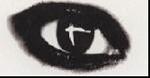l'oeil